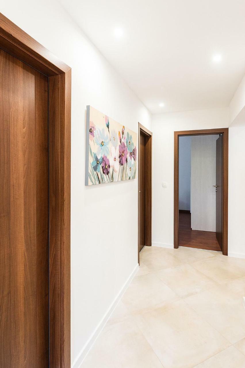 Apartment Auretta Novigrad  Exterior photo