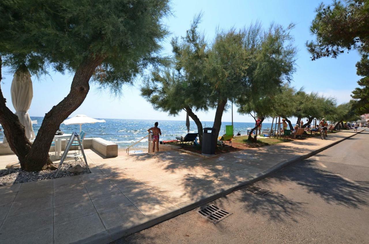 Apartment Auretta Novigrad  Exterior photo