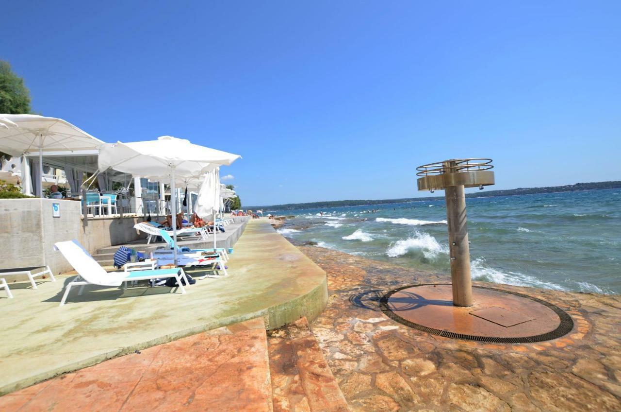 Apartment Auretta Novigrad  Exterior photo
